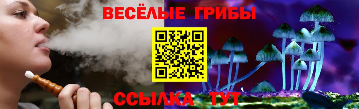 Новочебоксарск  Галлюциногенные грибы Psilocybe  Вход с VPN 